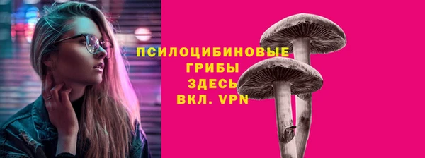 a pvp Алексин